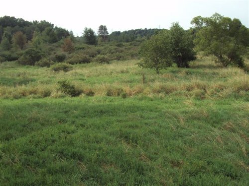 Property photo 9 - 72 Acres offered in 6 Tracts